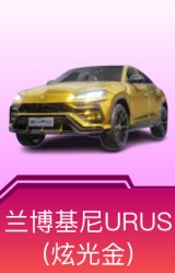 兰博基尼URUS(炫光金)