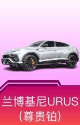 兰博基尼URUS(尊享铂)