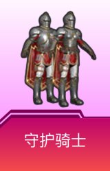 守护骑士