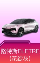 路特斯ELETRE(花绽灰)