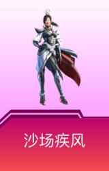 沙场疾风