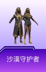 沙漠守护者