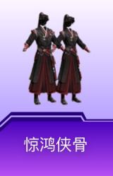 惊鸿侠骨