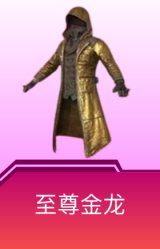至尊金龙外套