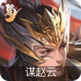 谋赵云