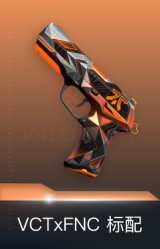 标配-VCTxFNC