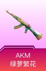 AKM-绿萝繁花