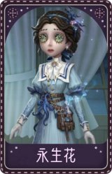 医生-永生花