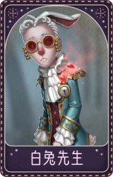 律师-白兔先生