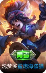 鲨炮海盗猫