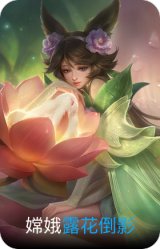 露花倒影