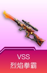VSS-烈焰拳霸