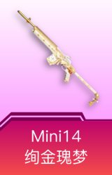 Mini14-绚金瑰梦