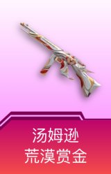 汤姆逊-荒漠赏金