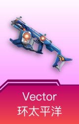 Vector-环太平洋
