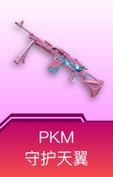 PKM-守护天翼