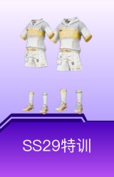 SS29特训