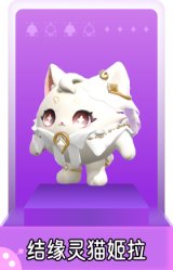 结缘灵猫姬拉