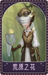 昆虫学者-荒原之花