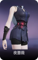 夜蔷薇