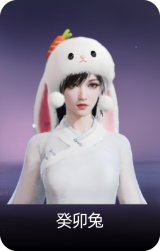 癸卯兔