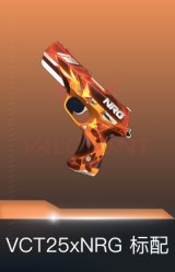 标配-VCT25xNRG