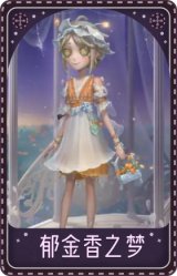 园丁-郁金香之梦