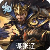 谋张辽