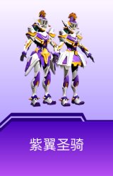 紫翼圣骑