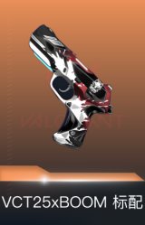VCT25xBOOM 标配