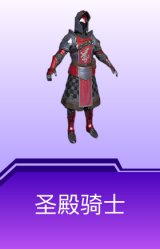 圣殿骑士