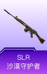 SLR-沙漠守护者