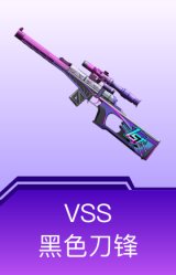 VSS-黑色刀锋