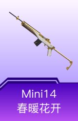 Mini14-春暖花开