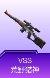 VSS-荒野猎神