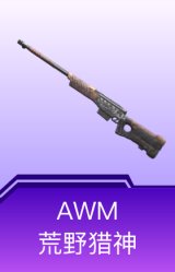 AWM-荒野猎神