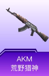 AKM-荒野猎神