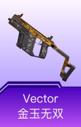 Vector-金玉无双