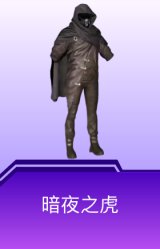 暗夜之虎