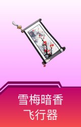 雪梅暗香飞行器