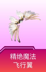 精绝魔法飞行翼