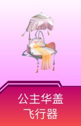 公主华盖飞行器