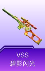 VSS-碧影闪光