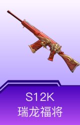 S12K-瑞龙福将