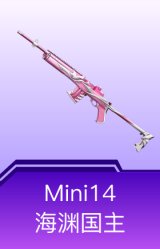 Mini14-海渊国主
