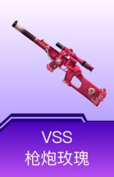VSS-枪炮玫瑰