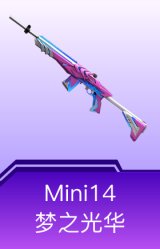 Mini14-梦之光华