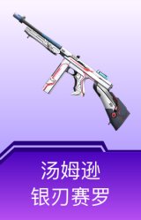 汤姆逊-银刃赛罗