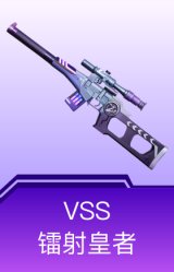 VSS-镭射皇者