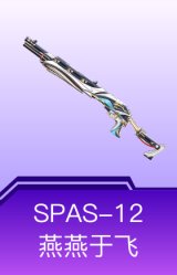 SPAS-12-燕燕于飞